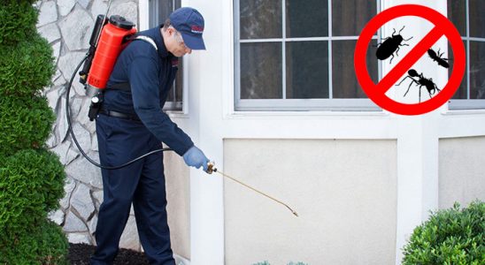 Merzifon Hamam Böceği İlaçlama böcek ilaçlama ve haşere kontrolü — ilaclama-tr.com